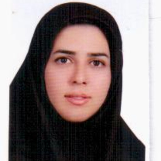 Mohammadreza Dodangeh - Iran, Professional Profile