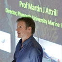 Martin Attrill