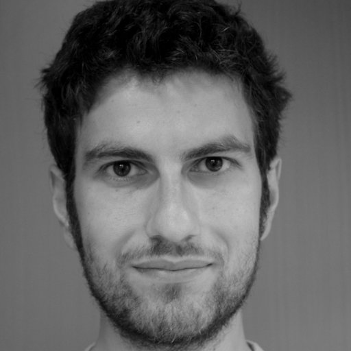 Damiano GENOVESE | Humboldt Postdoctoral Fellow | PhD | Karlsruhe ...