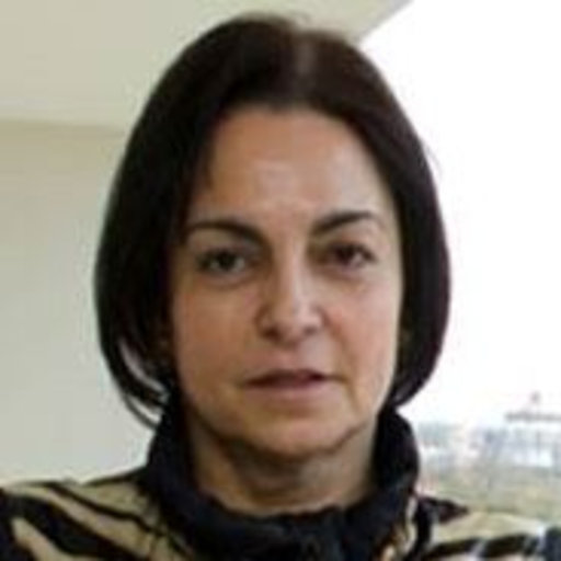 Irene REBELO | Professor (Associate) with Habilitation | PhD ...