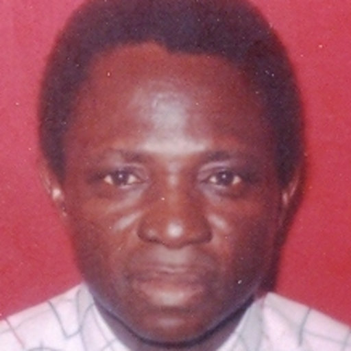 Olatunde OWOEYE | MB;BS, M. Sc, Ph. D (Ibadan) | University of Ibadan ...