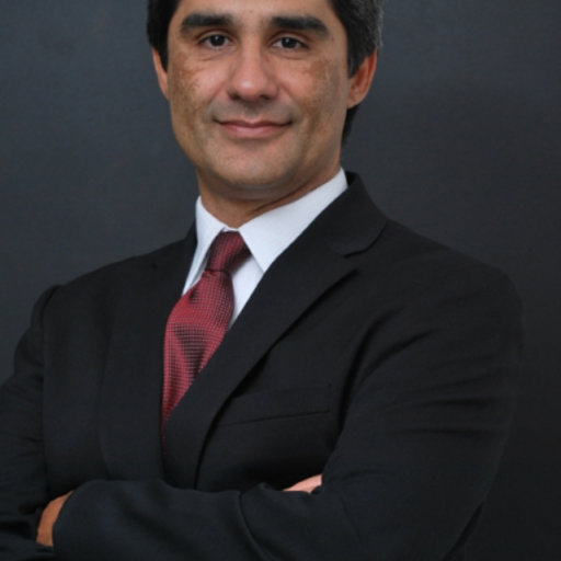 Celso MARQUES | Research profile