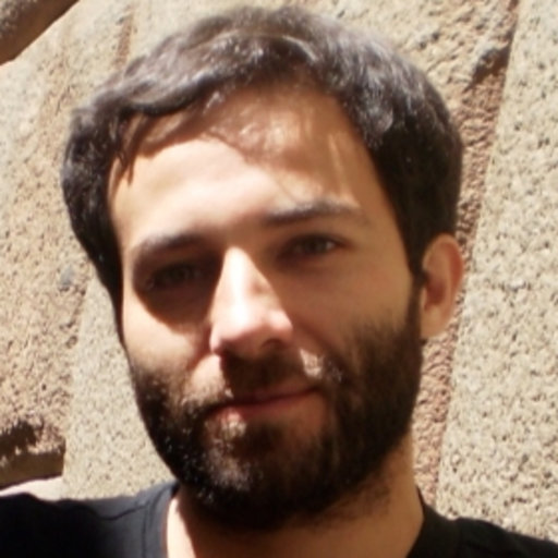 Gonzalo PALMA | Professor (Assistant) | PhD | University of Chile ...