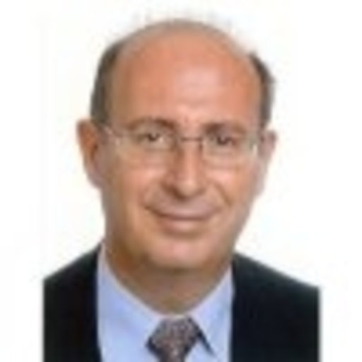 Salvador CAÑIGUERAL | Professor | PhD | University of Barcelona ...