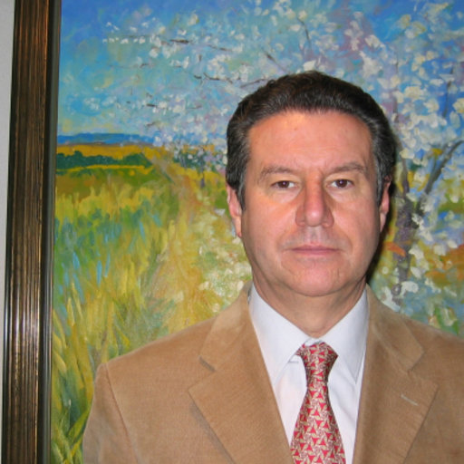 Manuel BENITO | Ph.D. D.Phil. | Complutense University of Madrid ...