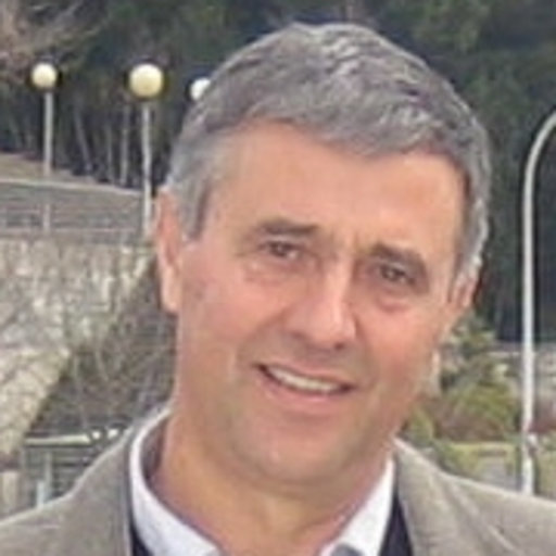 Miguel PÉREZ-PEREIRA | Professor (Full) | Ph.D. | University of ...