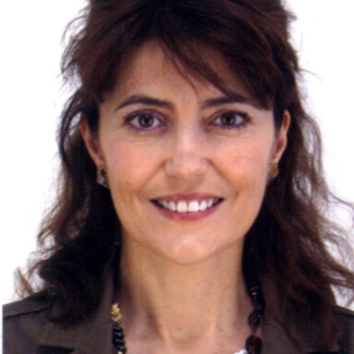 Luisa MARTÍNEZ | Full professor | PhD mechanical engineer | Universidad ...