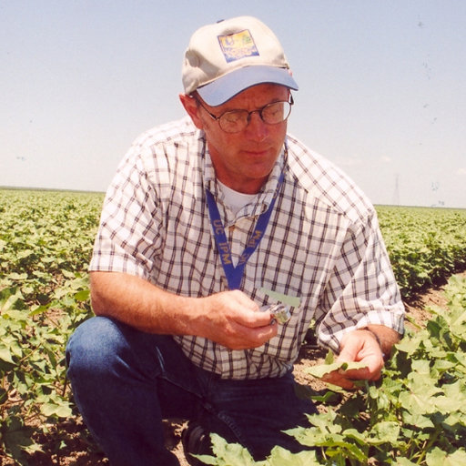 Cotton / Agriculture: Pest Management Guidelines / UC Statewide