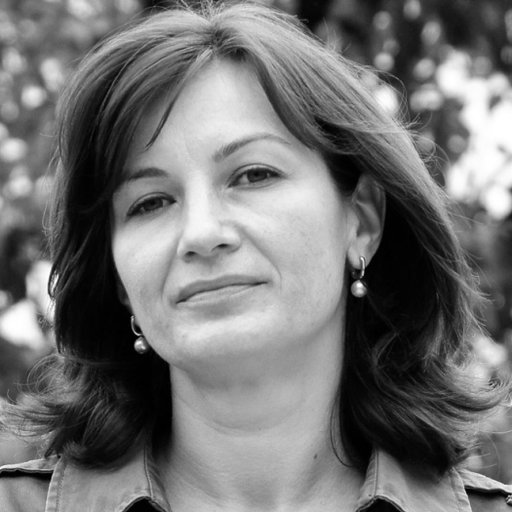 Irina CRISTIAN | Dr. Eng., Associate Professor | Gheorghe Asachi ...