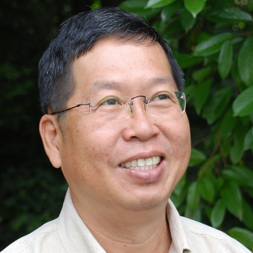 Leng Guan SAW | Research Consultant | Ph.D.
