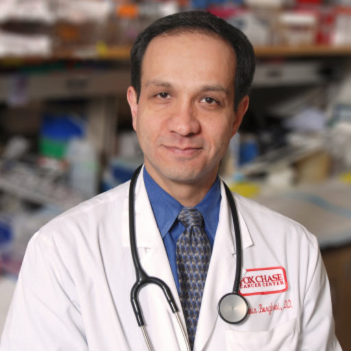 Dr. Hossein Borghaei