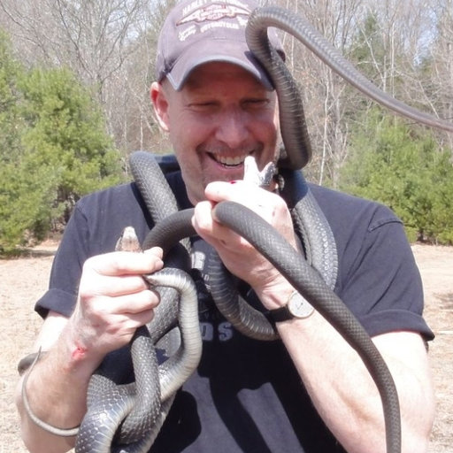 Smelling in Stereo: The Real Reason Snakes Have Flicking, Forked Tongues -  UConn Today