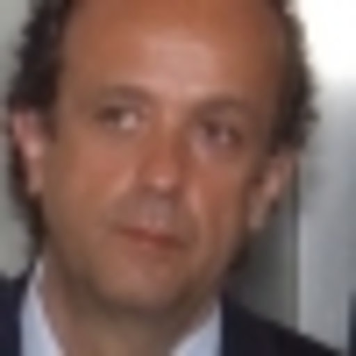 Antonio BALDINI Professor Full University of Naples Federico