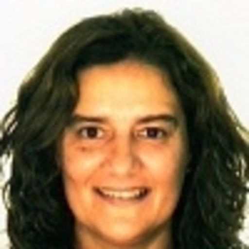 Ada ROCHA | Professor (Associate) | PhD | University of Porto, Porto ...