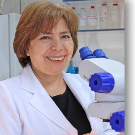 Mariana ROJAS | Professor (Associate) | Doctor en Cs. Morfológicas ...