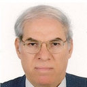 Ahmed M Abdel-Khalek