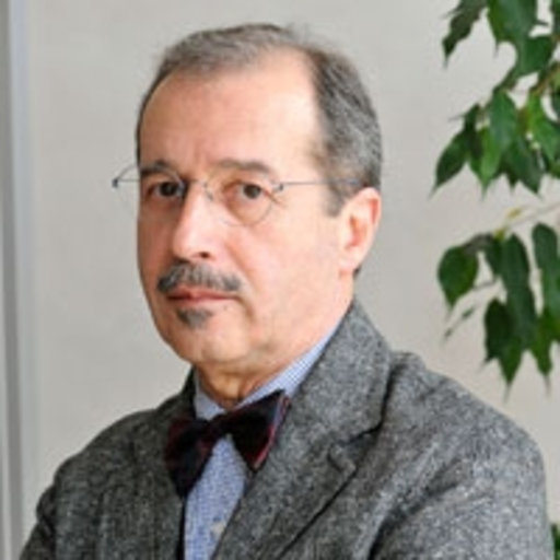 Pierluigi DE BASTIANI Universit degli Studi di Trento Trento