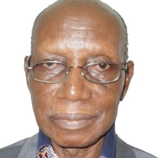 Lekan OYEBANDE | Emeritus Professor | B.Sc Geography (Ibadan, NGA); PhD ...