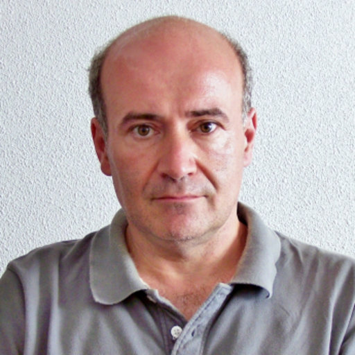 José GARCÍA-JAREÑO | Professor | Chemistry | University of Valencia ...