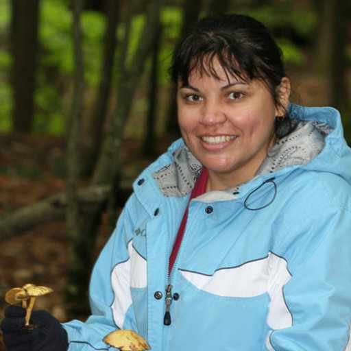 Beatriz ORTIZ SANTANA Research Scientist PhD US Forest