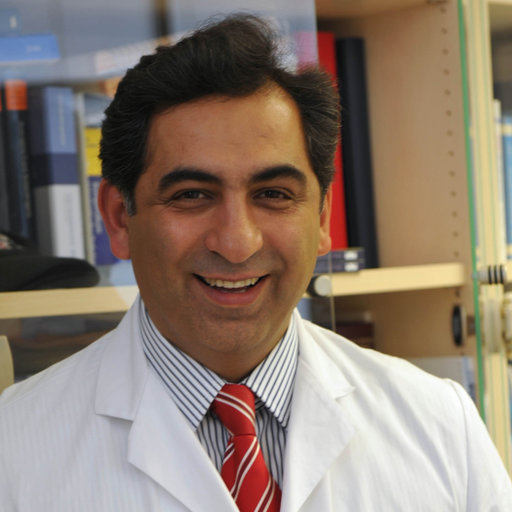 Peyman HADJI Head of Department Prof Dr med MD Research  