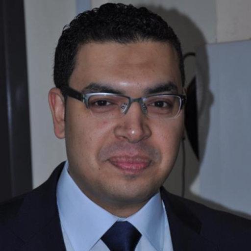 Wael GOMAA | Lecturer | PhD | Beni Suef University, Banī ...