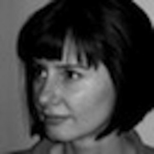 Kriszta KOVÁCS | Senior Fellow | PhD | WZB Berlin Social Science Center ...
