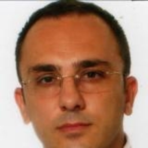 Guido MAIONE | Professor (Associate) | Eng. PhD. | Politecnico di