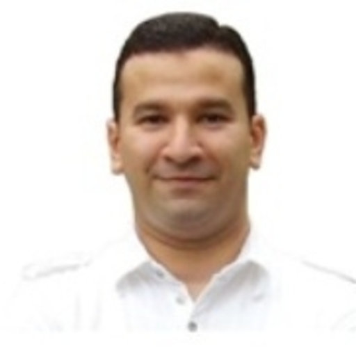 Ahmed SHAWISH | PhD | Ain Shams University, Cairo ...