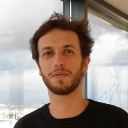 Francisco FERNANDES | Professor (Associate) | PhD | Sorbonne Université ...