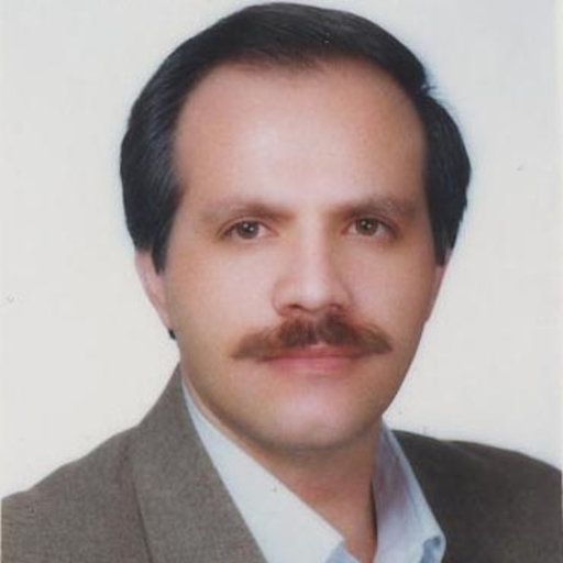 mani firoozi - Iran, Professional Profile
