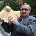 Vasyl Heluta