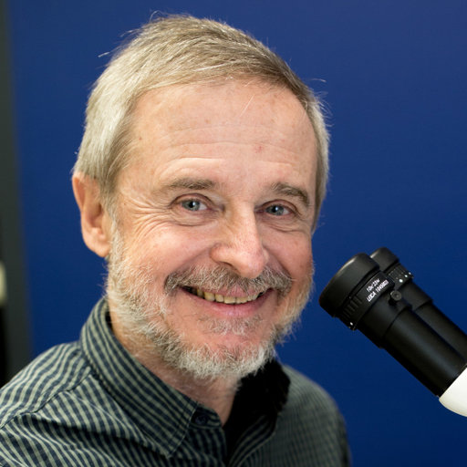 Niel BRUCE Associate Researcher PhD Queensland Museum