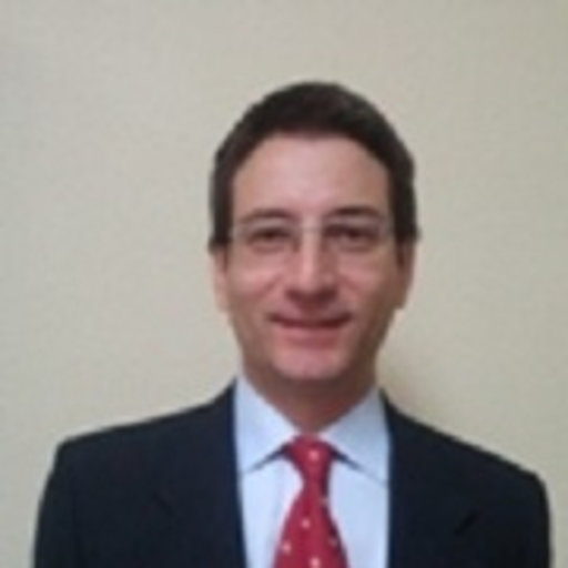 Sergio MARTINEZ | PhD | Universidad Politécnica de Madrid, Madrid | UPM ...