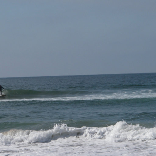 Sean GALLAGHER Senior environmental scientist California