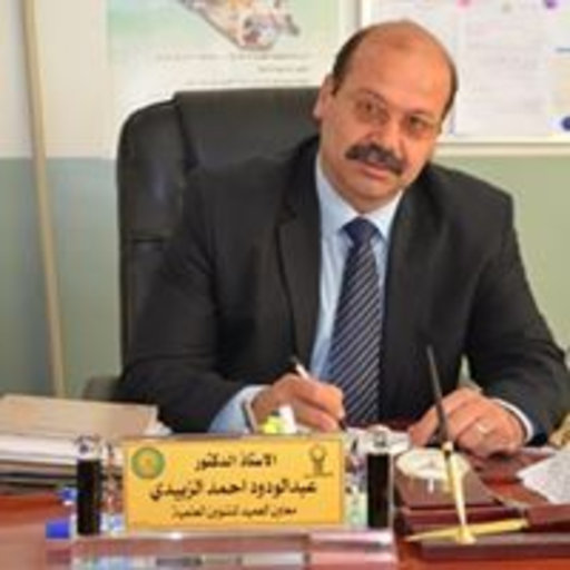 Abdulwadood ALZUBAIDY | Associate Dean for Academic Affairs | Doctor of ...