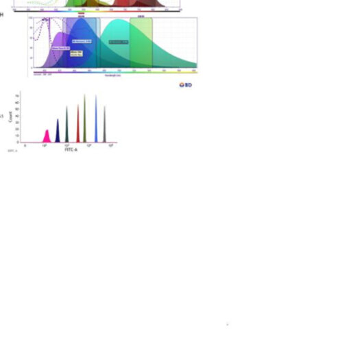 Methodology for Y Chromosome Capture: A complete genome sequence of Y  chromosome using flow cytometry, laser microdissection and magnetic  streptavidin-beads