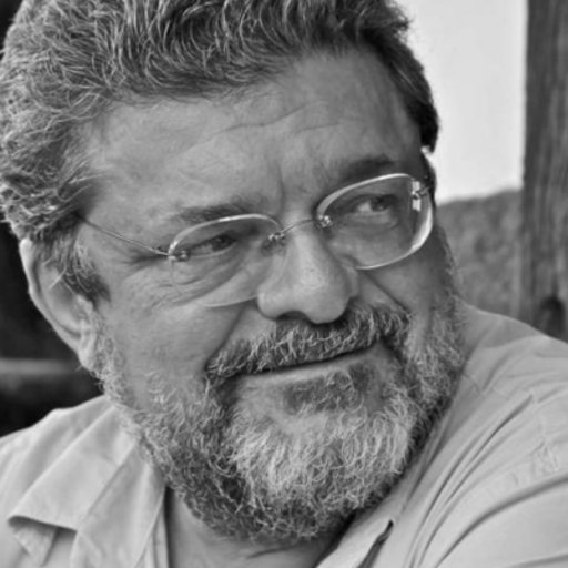 Reinaldo COSTA | Professor | University of São Paulo, São Paulo | USP ...