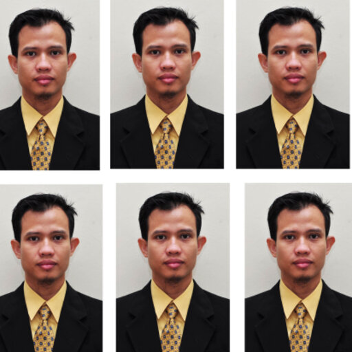 Nono DARSONO | Researcher | Dr. | Indonesian Institute of Sciences ...