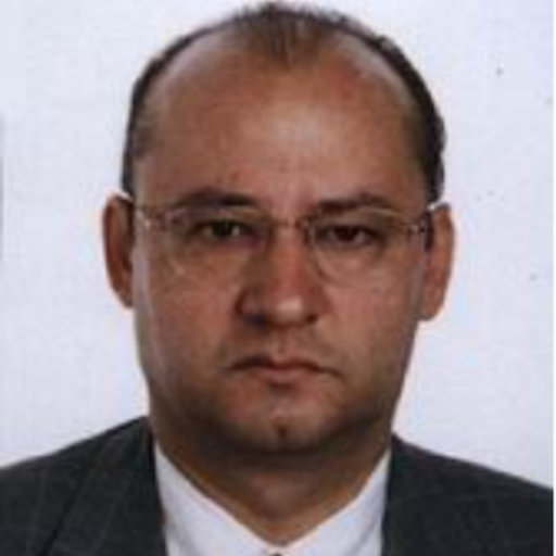 Pascual MARTÍ-MONTRULL | Professor (Full) | PhD Industrial Engineer ...