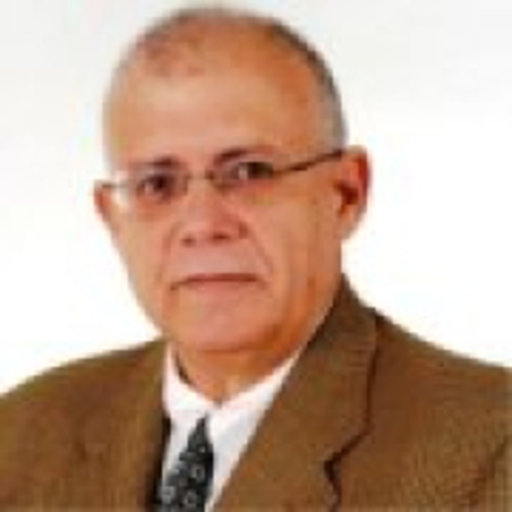João CALMON | PhD Civil Engineering | Universidade Federal do Espírito ...