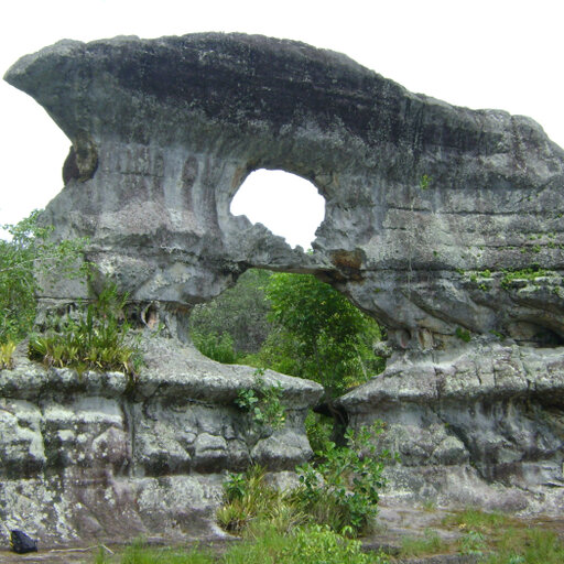 José Gilberto Bermúdez | BSc | Servicio Geológico Colombiano, Bogotá | Geociencias Básicas