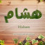 Mhd. Hisham al Hanoun