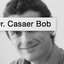 Bob Casaer