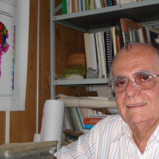 Aroldo MISI | Researcher | Professor LD of Economic Geology (Equiv. Dr ...