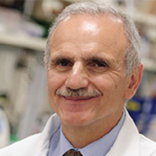 Yusuf HANNUN | Director, Stony Brook Cancer Center | Stony Brook  University, New York | Stony Brook | Center for Cancer | Research profile