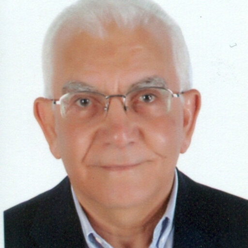 Safwat ABDEL-DAYEM | Professor Emeritus | Doctor of Philosophy ...