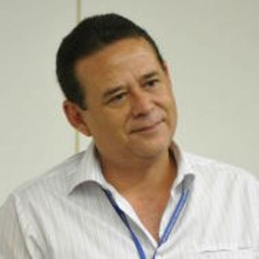 Luiz Arruda: 2013