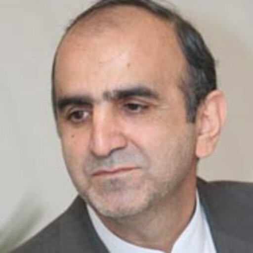 mani firoozi - Iran, Professional Profile