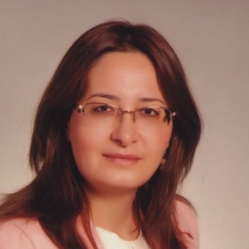 Gul PINAR, Professor, Ankara Yildirim Beyazit University, Ankara, AYBU, Department of Nursing